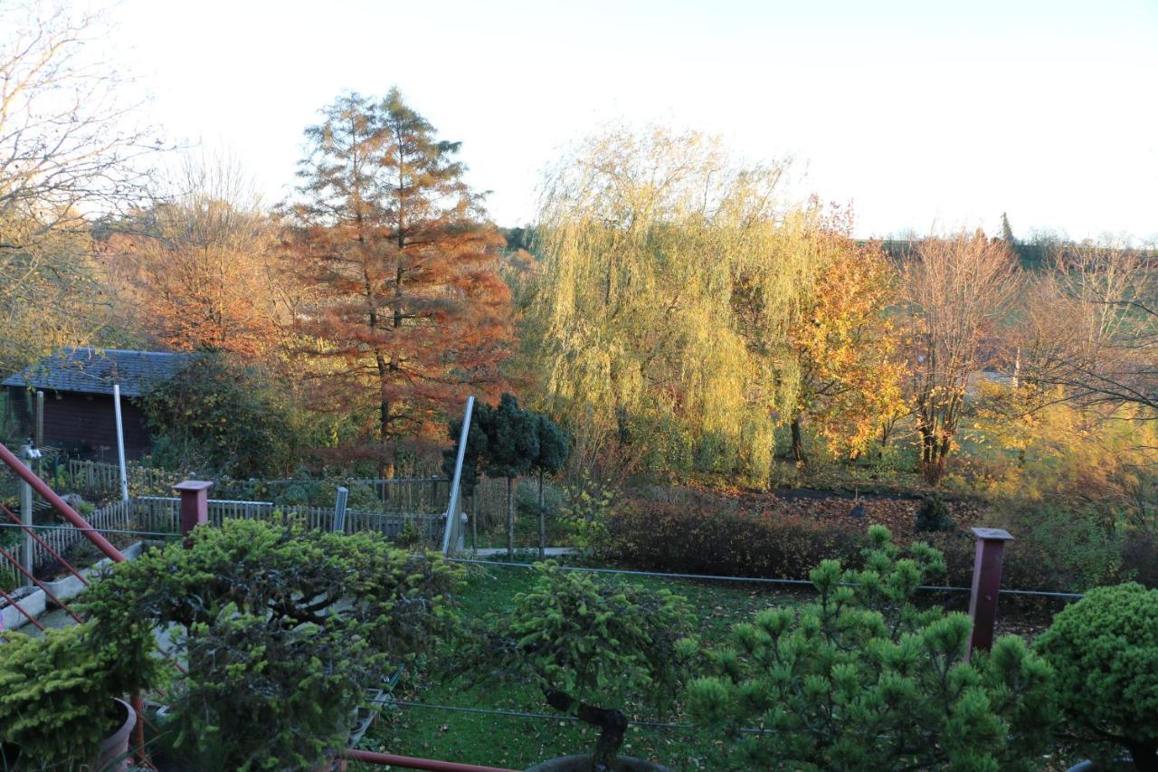 Gesves Cote Jardin Appartement Buitenkant foto